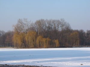 IMG_0645